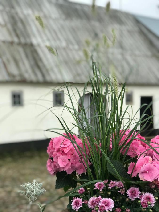 Apartamento Landligt Ophold Pa Midtgard Vamdrup Exterior foto
